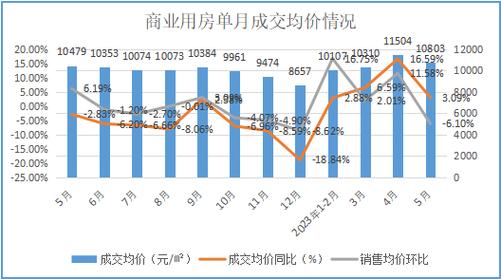 2023年1-5月份房地產(chǎn)投資及銷售數(shù)據(jù)分析報告暨全年數(shù)據(jù)預(yù)測和影響